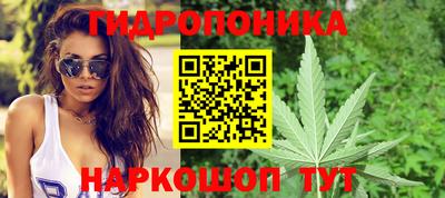 ПСИЛОЦИБИНОВЫЕ ГРИБЫ Будённовск
