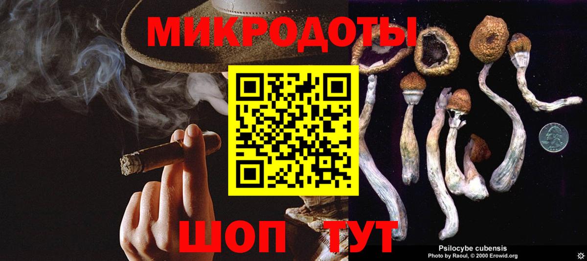 Галлюциногенные грибы Psilocybe Менделеевск