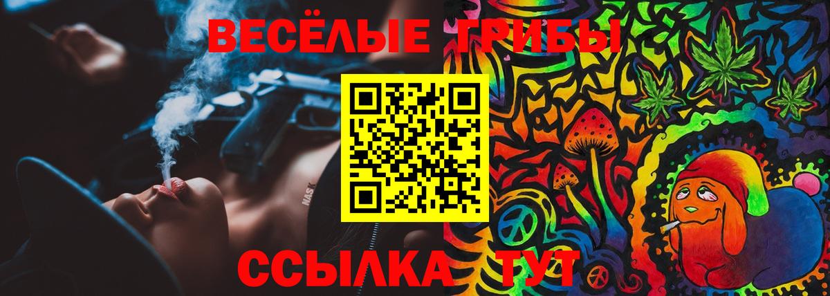 Псилоцибиновые грибы Cubensis  Вход с VPN  Менделеевск  Галлюциногенные грибы Magic Shrooms 